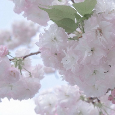 潍坊FurryQQ群介绍